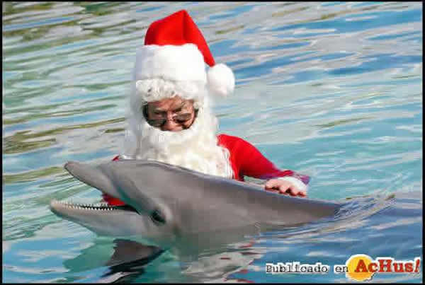 /public/fotos/Santa-Claus-llega-a-Discovery-Cove-en-Orlando-2.jpg