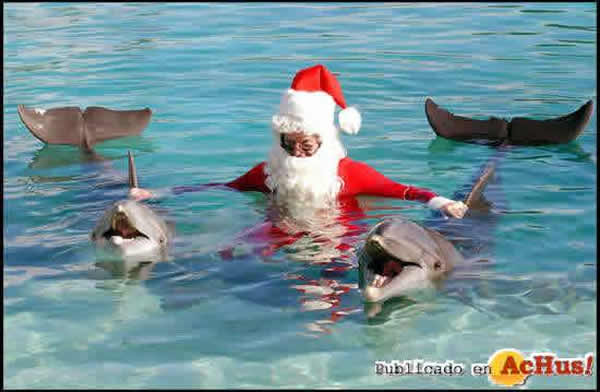 /public/fotos/Santa-Claus-llega-a-Discovery-Cove-en-Orlando.jpg