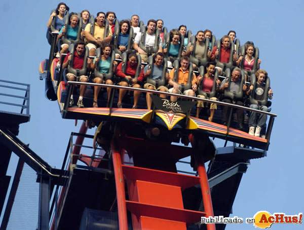 /public/fotos/Sheikra-1.jpg