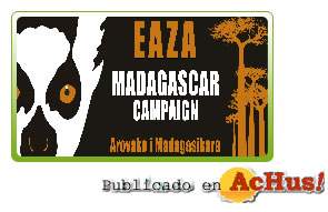 /public/fotos/eaza-08042008_small.jpg