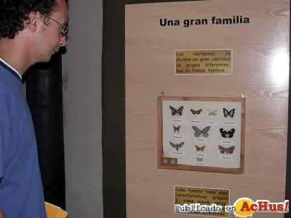 /public/fotos/el-mundo-de-las-mariposas.jpg