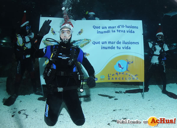 /public/fotos2/006-AQUARIUMBCN_immersioBARRUFET_2008.jpg