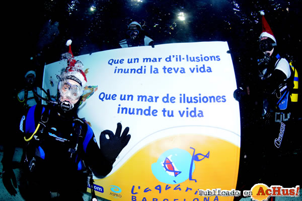 /public/fotos2/007-AQUARIUMBCN_immersioBARRUFET_2008.jpg