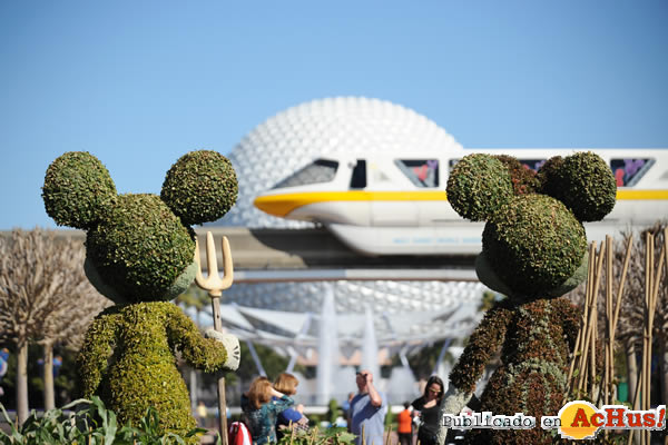 /public/fotos2/17th-Epcot-Flower-01.jpg