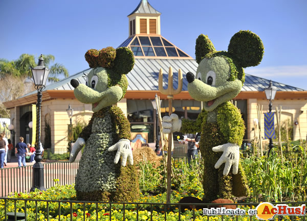 /public/fotos2/17th-Epcot-Flower-02.jpg