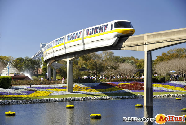 /public/fotos2/17th-Epcot-Flower-03.jpg