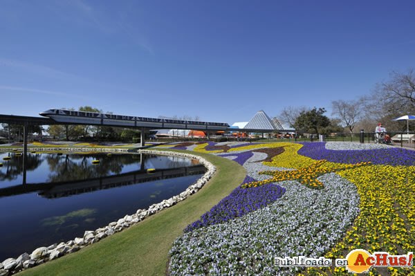 /public/fotos2/17th-Epcot-Flower-04.jpg