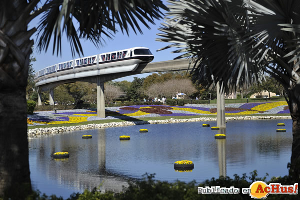 /public/fotos2/17th-Epcot-Flower-05.jpg