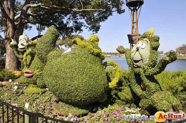 /public/fotos2/17th-Epcot-Flower-06.jpg