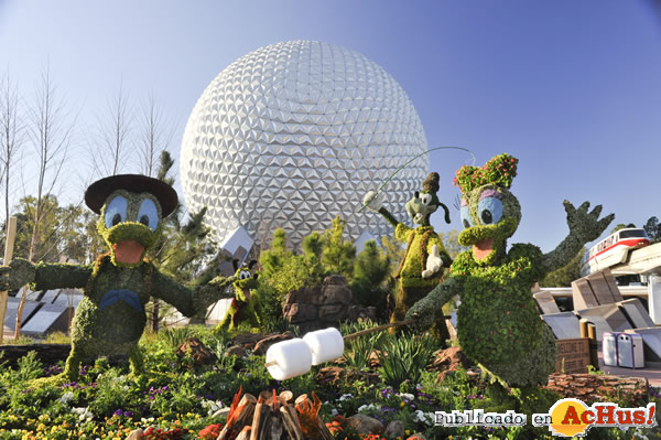 /public/fotos2/17th-Epcot-Flower-07.jpg
