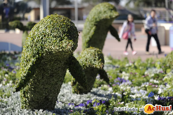 /public/fotos2/17th-Epcot-Flower-08.jpg