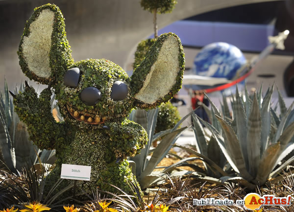 /public/fotos2/17th-Epcot-Flower-10.jpg