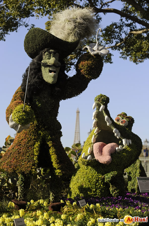 /public/fotos2/17th-Epcot-Flower-13.jpg