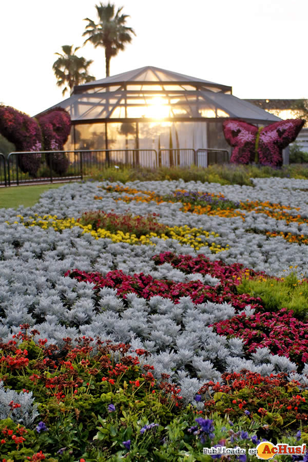 /public/fotos2/2009-Epcot-International-Flower-Garden-Festival-18.jpg
