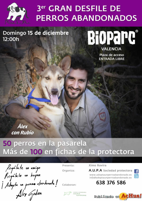 /public/fotos2/3er-desfile-AUPA-BIOPARC-13112013.jpg