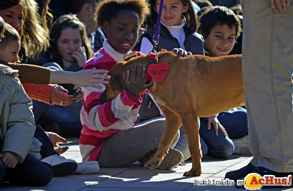 /public/fotos2/3er-desfile-solidario-perros-03-15122013.jpg