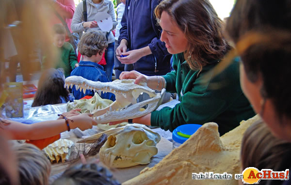 /public/fotos2/4-Aniversario-Bioparc-Valencia-muestras-26022012.jpg