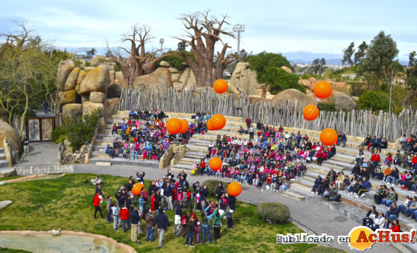 /public/fotos2/6-aniversario-Bioparc-Valencia-28022014.jpg
