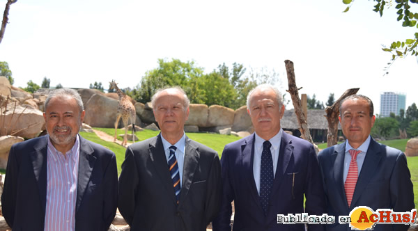 /public/fotos2/AVL-Bioparc-Valencia-4-6-2013.jpg