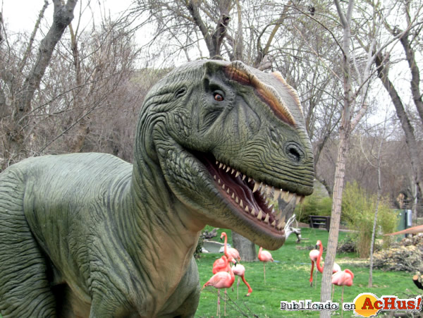 /public/fotos2/Allosaurus-Zoo-Madrid-28032012.jpg