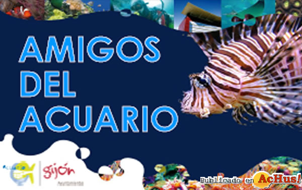 /public/fotos2/Amigos-del-Acuario-24122010.jpg