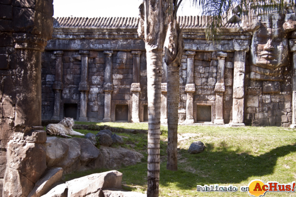 /public/fotos2/Ankur-en-el-templo-de-Angkor-03052013.jpg