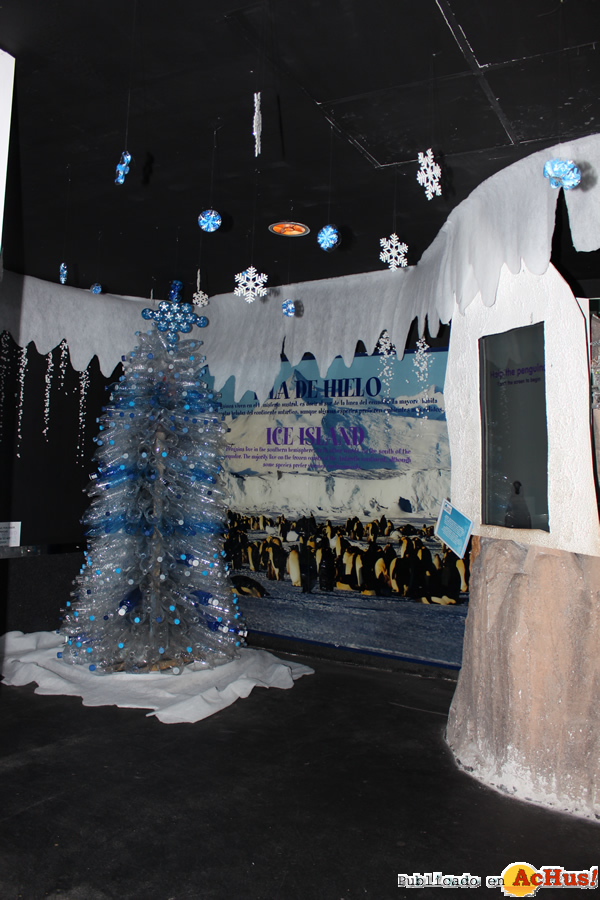 /public/fotos2/Arbol-navidad-con-botellas-Delfinarium-19122014.jpg