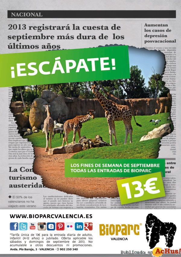 /public/fotos2/BIOPARC-VALENCIA-ESCAPATE-2013-JIRAFAS.jpg