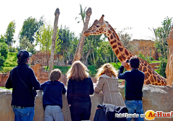 /public/fotos2/Bioparc-01-18032011.jpg