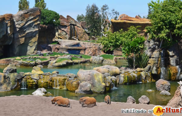 /public/fotos2/Bioparc-23042013.jpg
