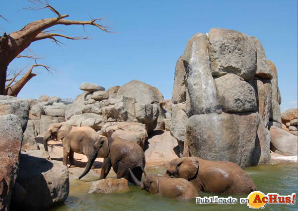 /public/fotos2/Bioparc-Aniversario-142010.jpg