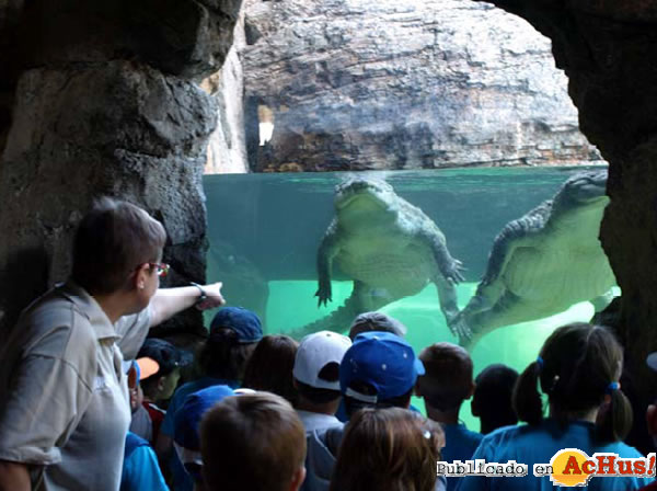 /public/fotos2/Bioparc-Aniversario-172010.jpg