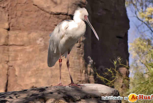 /public/fotos2/Bioparc-Fuengirola-02102013.jpg