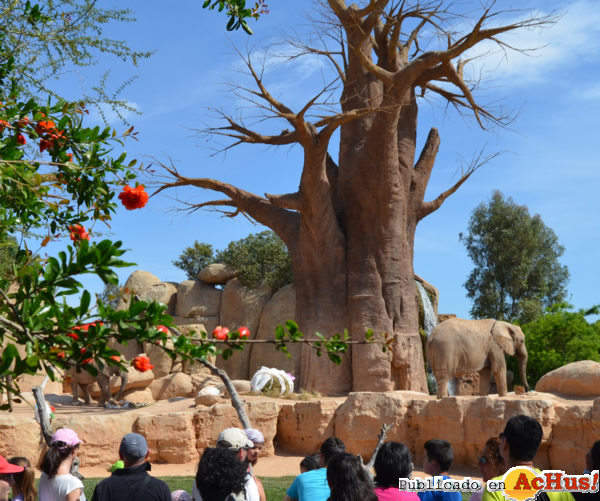 /public/fotos2/Bioparc-Pascua-elefantes-22042014.jpg