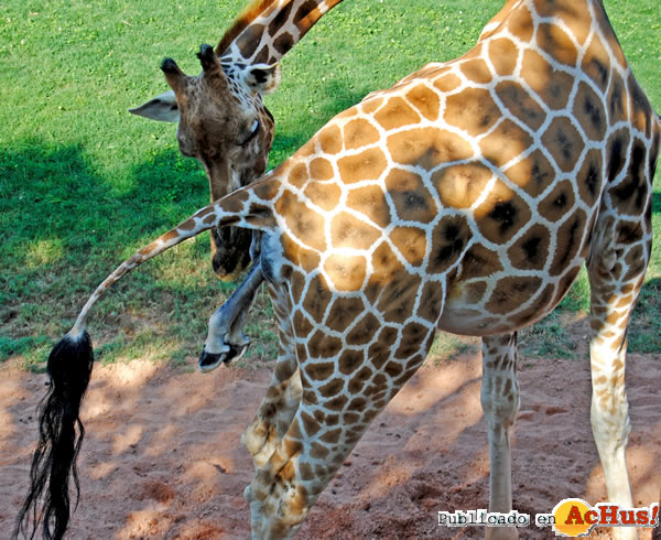 /public/fotos2/Bioparc-Valencia-01.jpg