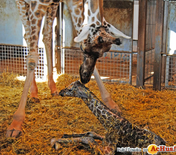 /public/fotos2/Bioparc-Valencia-02.jpg
