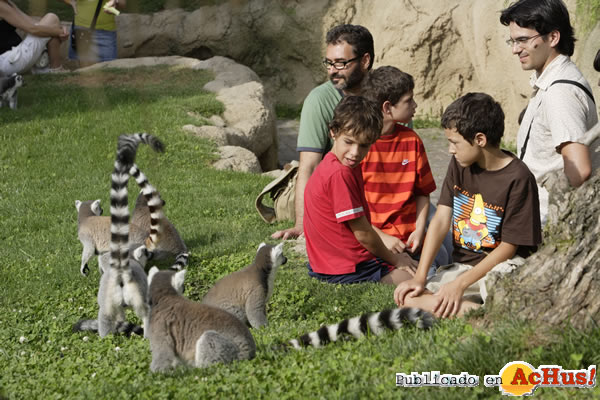 /public/fotos2/Bioparc-Valencia-03-07012011.jpg