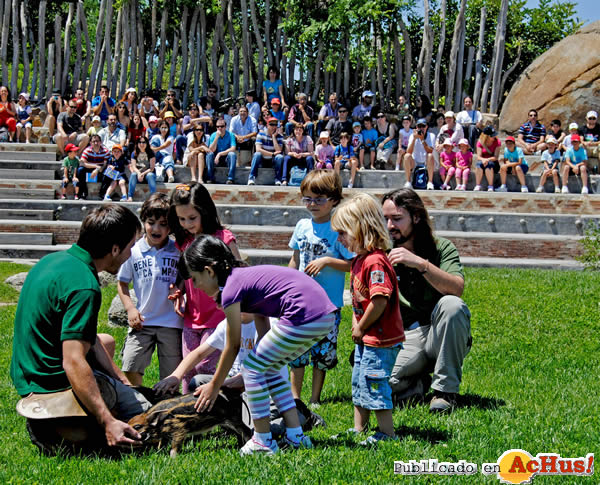 /public/fotos2/Bioparc-Valencia-3-05062011.jpg
