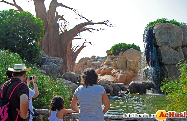 /public/fotos2/Bioparc-Valencia-31082011.jpg