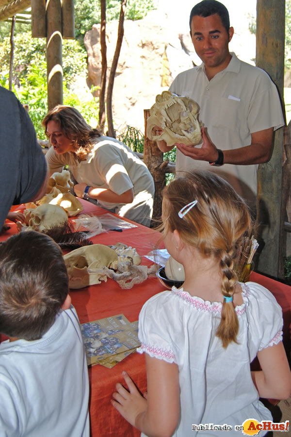 /public/fotos2/Bioparc-Valencia-6-05062011.jpg