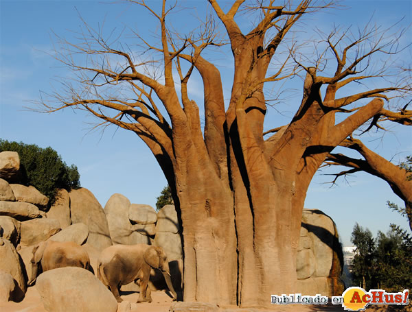 /public/fotos2/Bioparc-Valencia-elefantes-bosque-baobabs-28012011.jpg