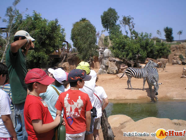 /public/fotos2/Bioparc-cursos-18092008.jpg