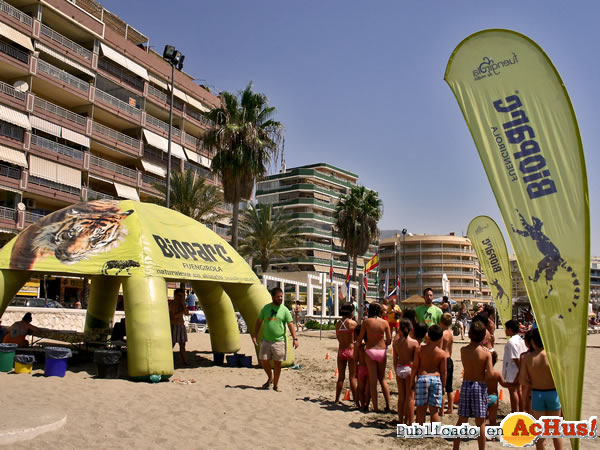 /public/fotos2/Bioparc-en-la-playa-11072014.jpg