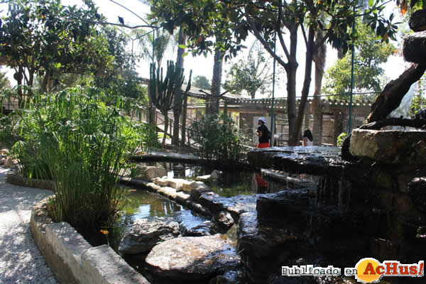 /public/fotos2/Bosque-Tropical-01.jpg