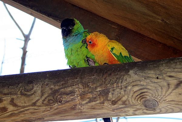 /public/fotos2/Bosque-Tropical-02.jpg
