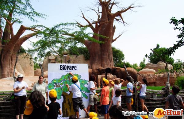 /public/fotos2/Bosque-de-baobabs-05072012.jpg