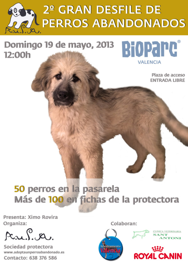/public/fotos2/CARTEL-AUPA-07052013.jpg