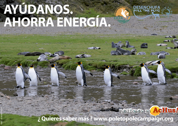 /public/fotos2/CARTEL-PULL-THE-PLUG-11012015.jpg