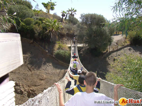 /public/fotos2/Campamento-Verano-Selwo-Aventura-2014.jpg