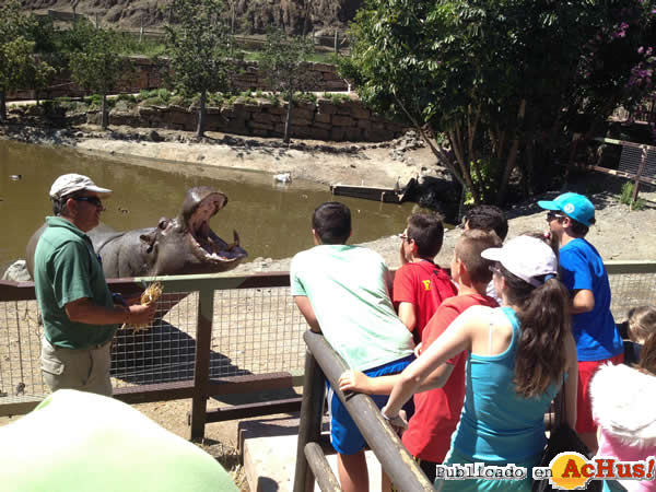 /public/fotos2/Campamento-Verano-Selwo-Aventura-3-2014.jpg